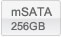 mSATA - 256GB