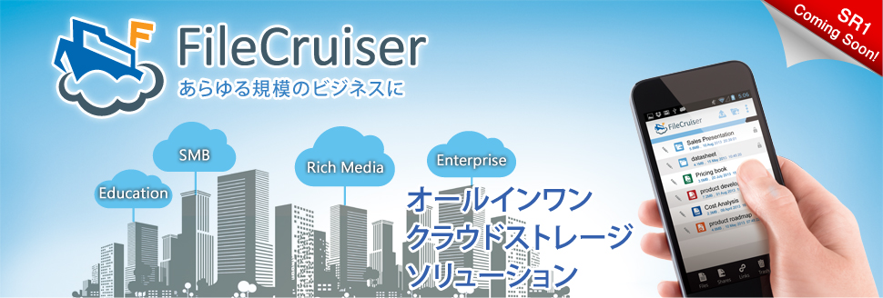 PROMISE FileCruiser